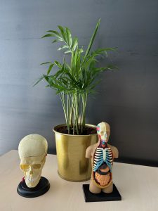 Clinical Reasoning in der Physiotherapie zur individuellen Behandlungsplanung